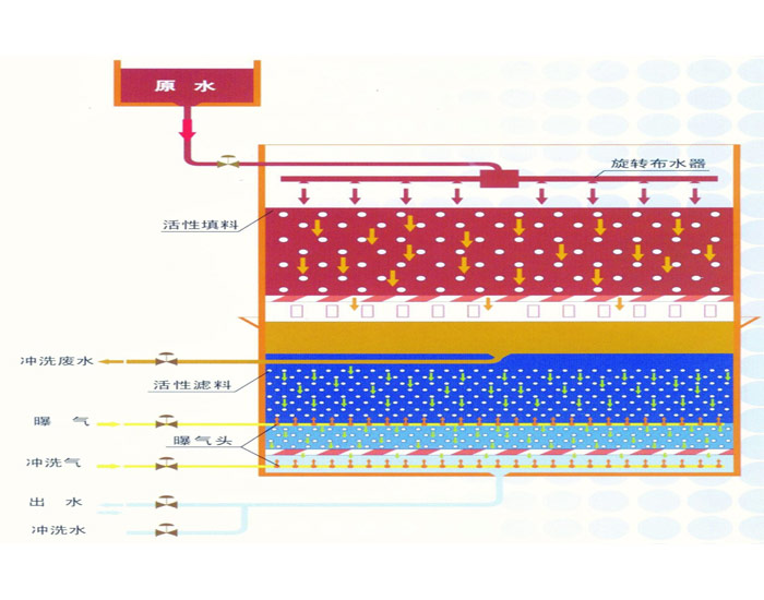 金年会体育科技
